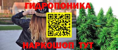 ПСИЛОЦИБИНОВЫЕ ГРИБЫ Заволжье