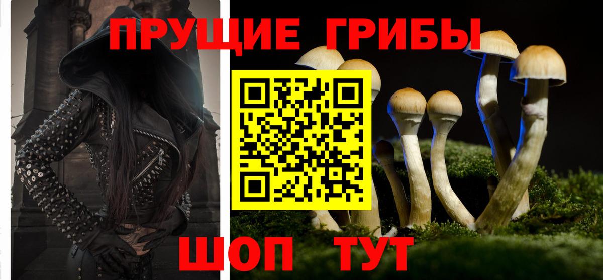 Благовещенск  Псилоцибиновые грибы Magic Shrooms  хочу наркоту  Галлюциногенные грибы прущие грибы  Вход с VPN 